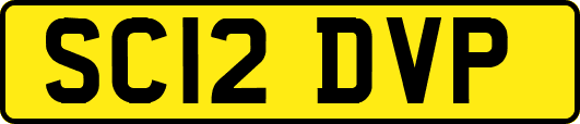 SC12DVP