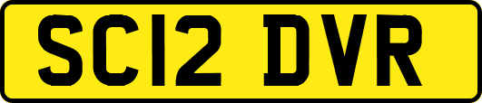 SC12DVR