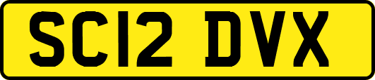 SC12DVX