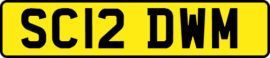 SC12DWM