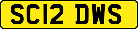 SC12DWS