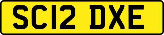 SC12DXE
