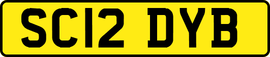 SC12DYB