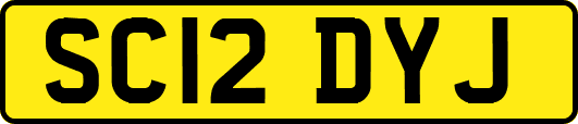 SC12DYJ