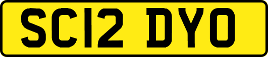 SC12DYO