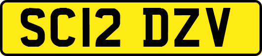 SC12DZV