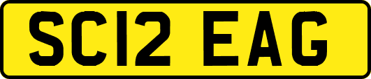 SC12EAG