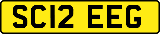 SC12EEG