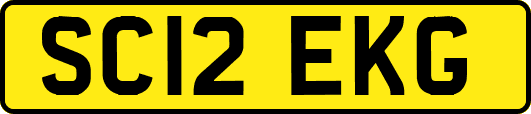 SC12EKG
