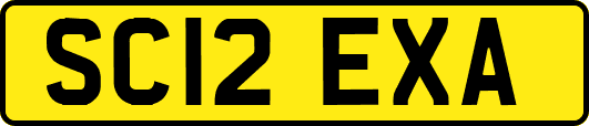 SC12EXA