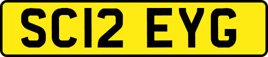 SC12EYG