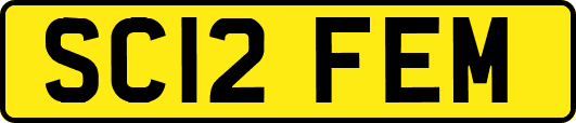 SC12FEM