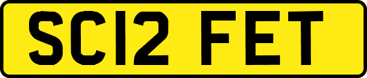 SC12FET