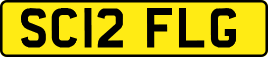 SC12FLG