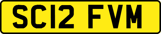 SC12FVM