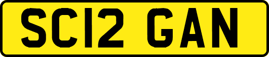 SC12GAN