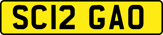 SC12GAO