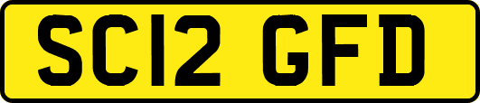 SC12GFD