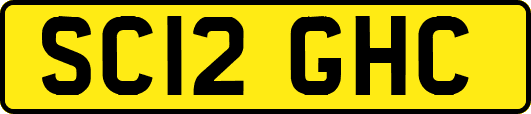 SC12GHC
