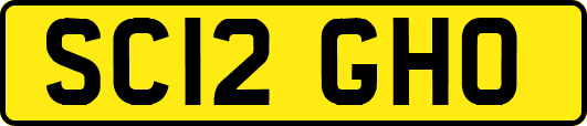 SC12GHO