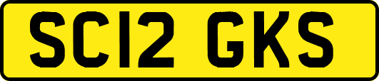 SC12GKS
