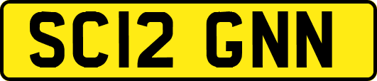SC12GNN