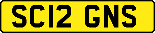 SC12GNS