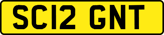 SC12GNT