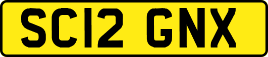 SC12GNX