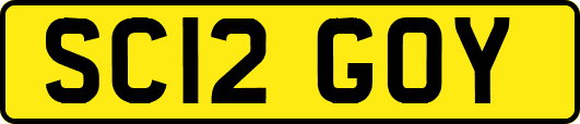 SC12GOY