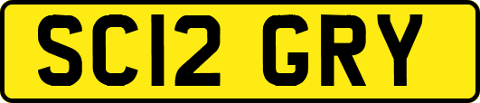 SC12GRY