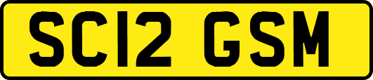 SC12GSM
