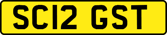 SC12GST