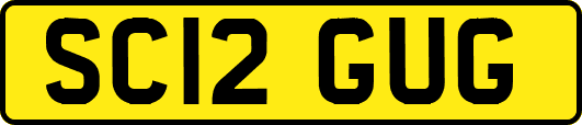 SC12GUG