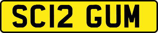 SC12GUM