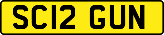 SC12GUN
