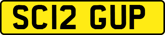 SC12GUP