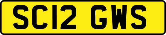 SC12GWS