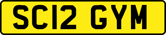 SC12GYM