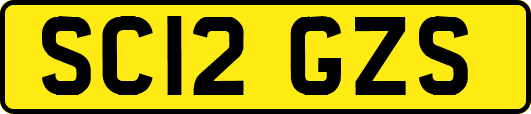 SC12GZS