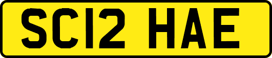SC12HAE