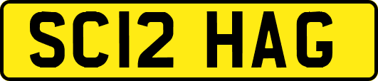 SC12HAG