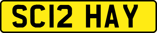 SC12HAY