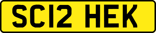 SC12HEK
