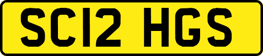 SC12HGS