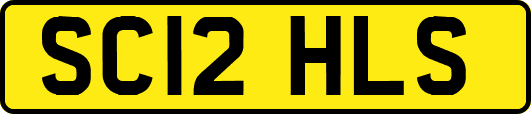 SC12HLS