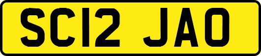 SC12JAO