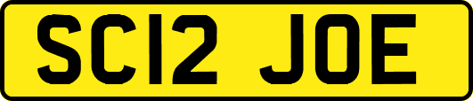 SC12JOE