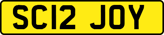SC12JOY