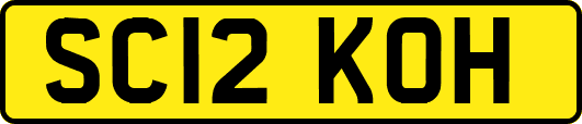 SC12KOH